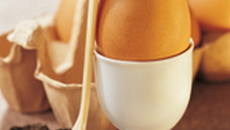 Œufs coque à la truite fumée et morilles