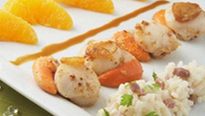 Noix de Saint Jacques risotto et son infusion chicorée miel et orange