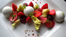 Un jardin de fraises