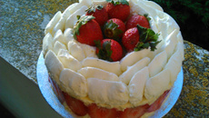 Fraisier frais et fruité