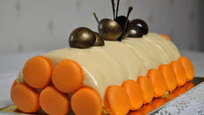 Bûche abricot-nougat