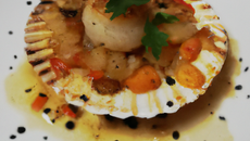 Coquille Saint-Jacques rôtie...