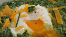 Œufs pochés aux épinards et à la crème de cheddar