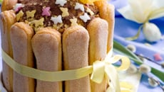 Charlotte au chocolat