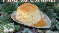 Flan au caramel à la Multi-Délices