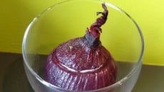 Oignon farci au fromage blanc et jambon