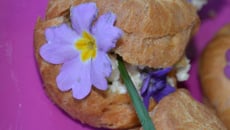 Choux fleuris à la brandade