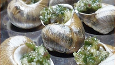Escargots en persillade à la catalane