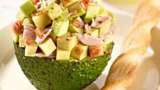 Thon n'avocat surprise