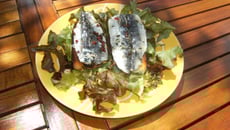 Sardines citronnées sur pains grillés aillés