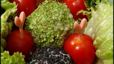 Rice balls aux trois sésames