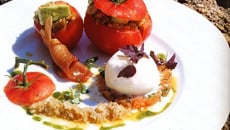Tomate grappe tiède à la cévriche de thon