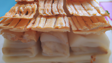 Mille-feuilles de la mer