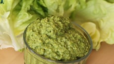Pesto de salade verte (laitue et feuille de chêne) à la pistache
