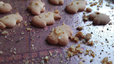 Petits sablés Tyllie