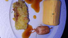 Filet de canette rôtie et pastilla aux treize dessert