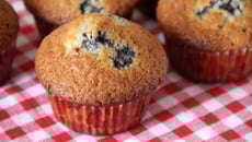 Muffins aux myrtilles classiques