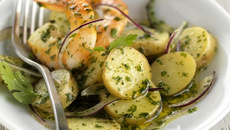 Salade de Ratte aux gambas, à la coriandre et à l'oignon rouge