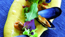 Mousseline de Dolwen du bord de mer