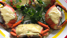 Crabes du fleuve ou "cotis" à la Saint-Louisienne