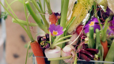 Aquarium de légumes primeur