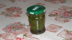 Basilic en petit pot