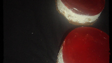 Bavarois poire framboise