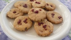 Biscuits yuzu et camberries sans gluten