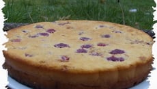 Gâteau aux framboises