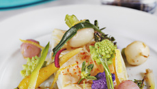 Cabillaud vapeur « citron, thym », pistou de légumes de saison