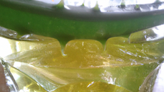 Elixir d'Aloe Vera