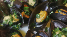 Moules à la coriandre