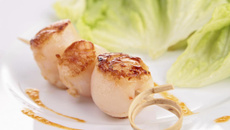 Noix de saint-jacques