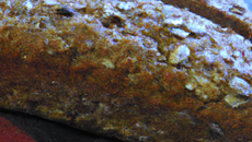 Pain aux céréales au Thermomix