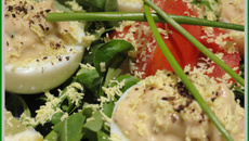 Œuf mimosa sur lit de roquette