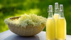 Sirop de fleurs de sureau