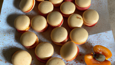 Abricots macaronnés