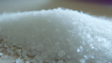 Sucré salé pour pique-nique