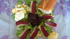 Sandwich dans l'assiette