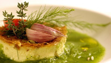 Flan à l'ail rose de Lautrec sur émulsion de persil