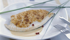 Filet de turbot poêlé, un voile de parmesan épices, fumet réduit aux épices du pain