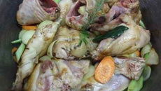Lapin variante gibelotte de la mère