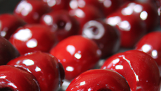 Cerises au four
