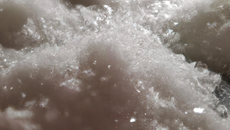 Grondin salé sucré