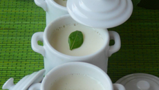 Panna cotta au basilic