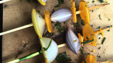 Brochettes de petits oignons nouveaux