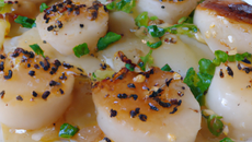 Coquilles St-Jacques à l'huile de sésame et aux poireaux