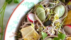 Salade printanière de nouilles soba aux graines germées, fèves et tofu sauté