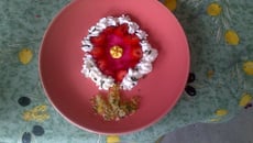 Fleur de gourmandise