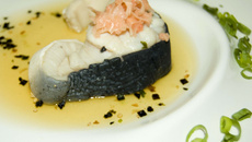 Requin en nage japonaise.